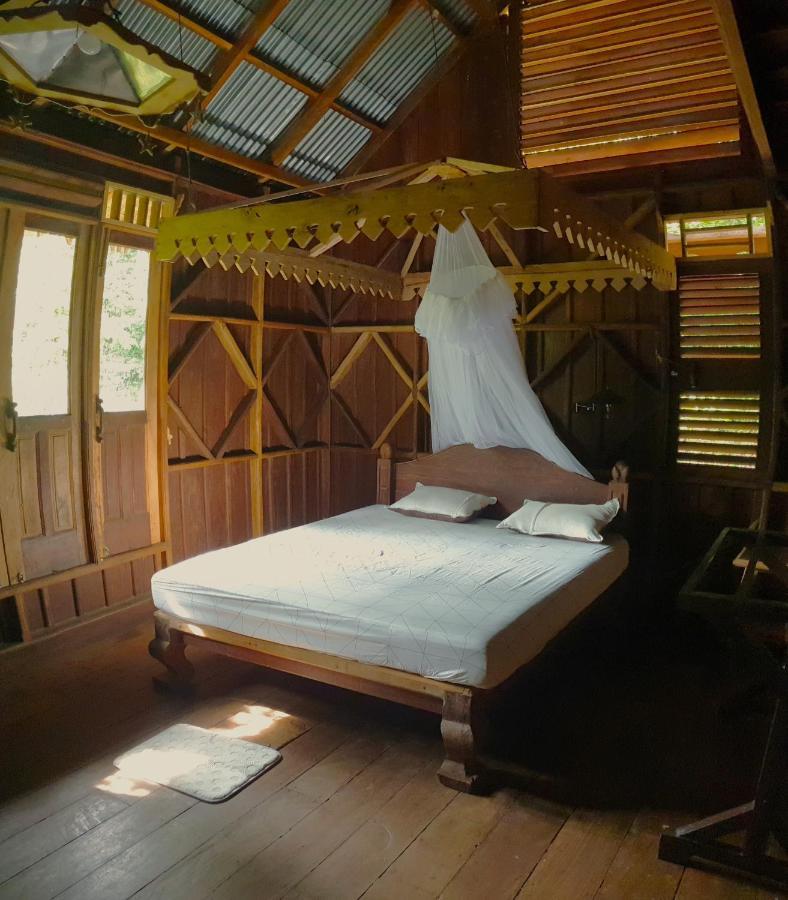 Happy Ria Homestay & Guesthouse Bukit Lawang Εξωτερικό φωτογραφία