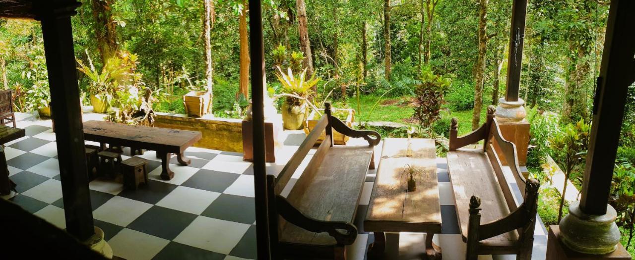 Happy Ria Homestay & Guesthouse Bukit Lawang Εξωτερικό φωτογραφία