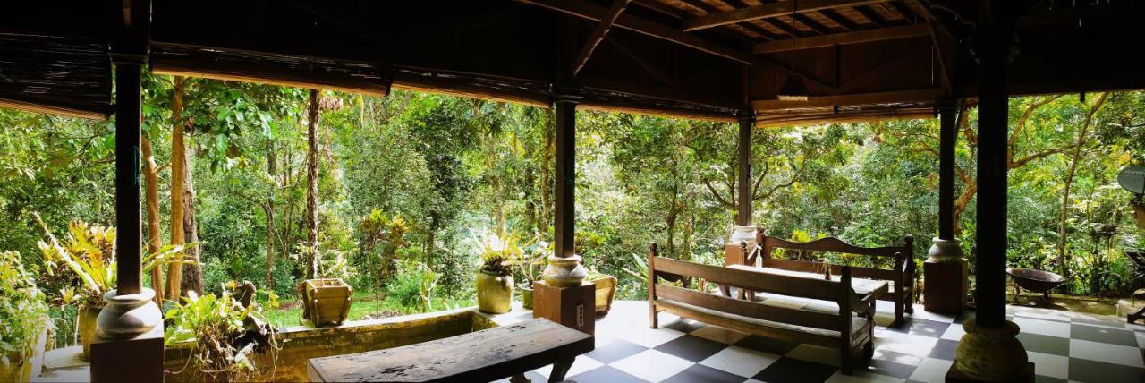 Happy Ria Homestay & Guesthouse Bukit Lawang Εξωτερικό φωτογραφία