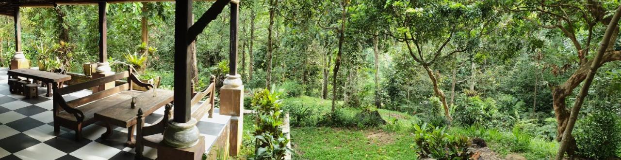 Happy Ria Homestay & Guesthouse Bukit Lawang Εξωτερικό φωτογραφία