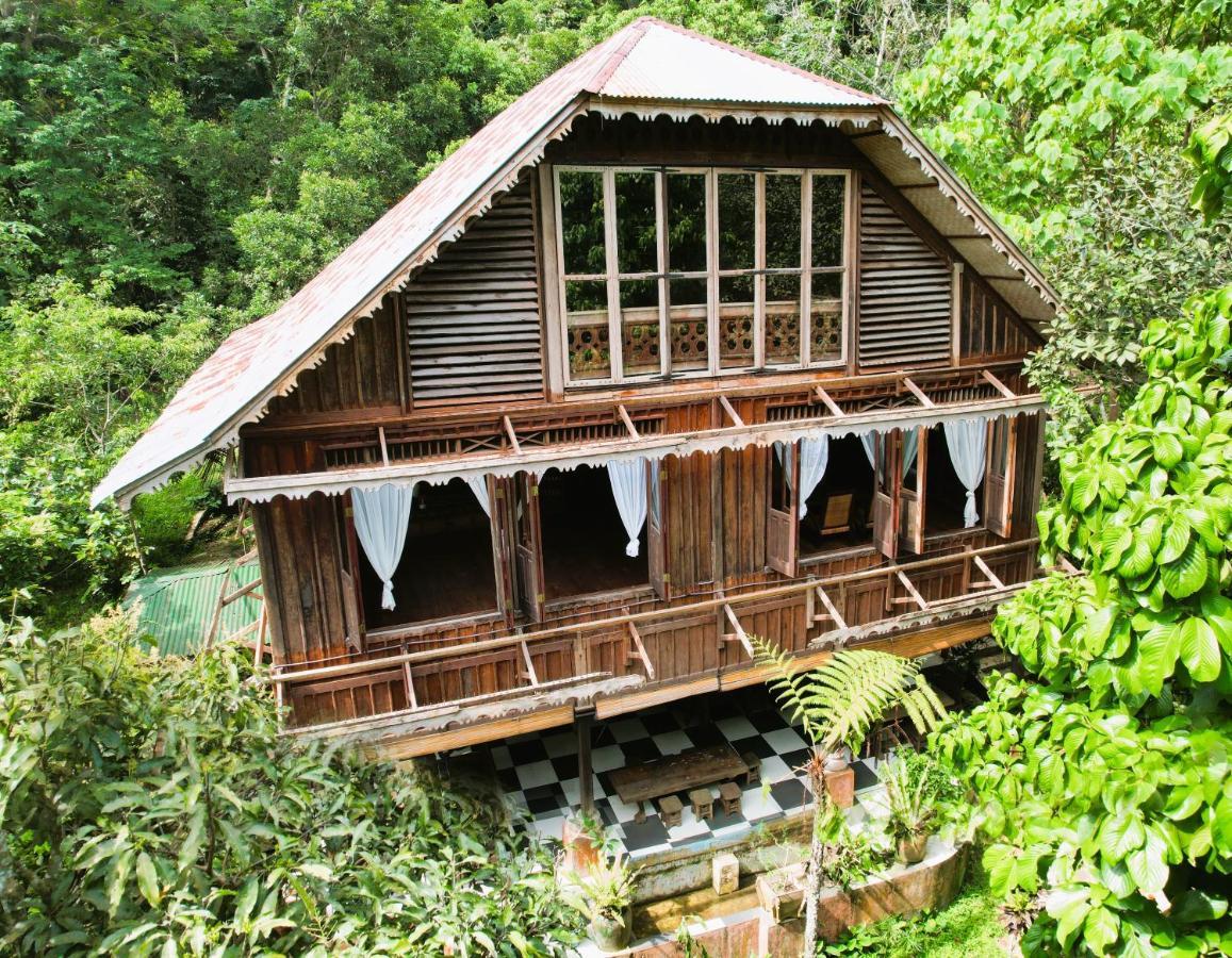 Happy Ria Homestay & Guesthouse Bukit Lawang Εξωτερικό φωτογραφία