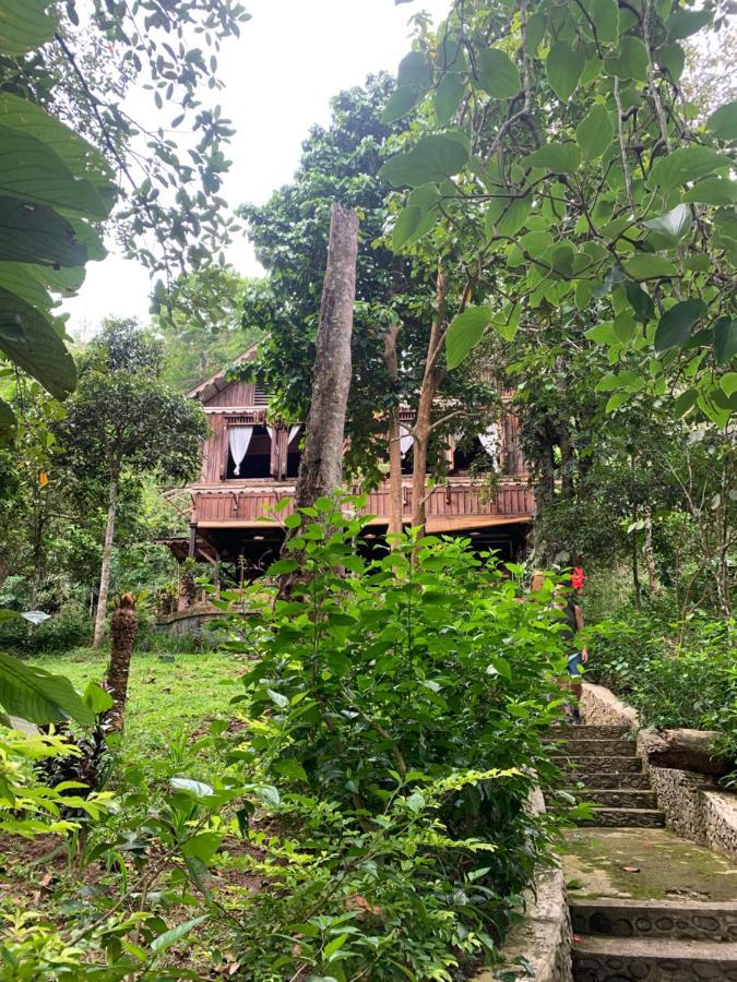 Happy Ria Homestay & Guesthouse Bukit Lawang Εξωτερικό φωτογραφία